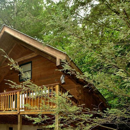 Vila Wild Thing #1525 Gatlinburg Exteriér fotografie