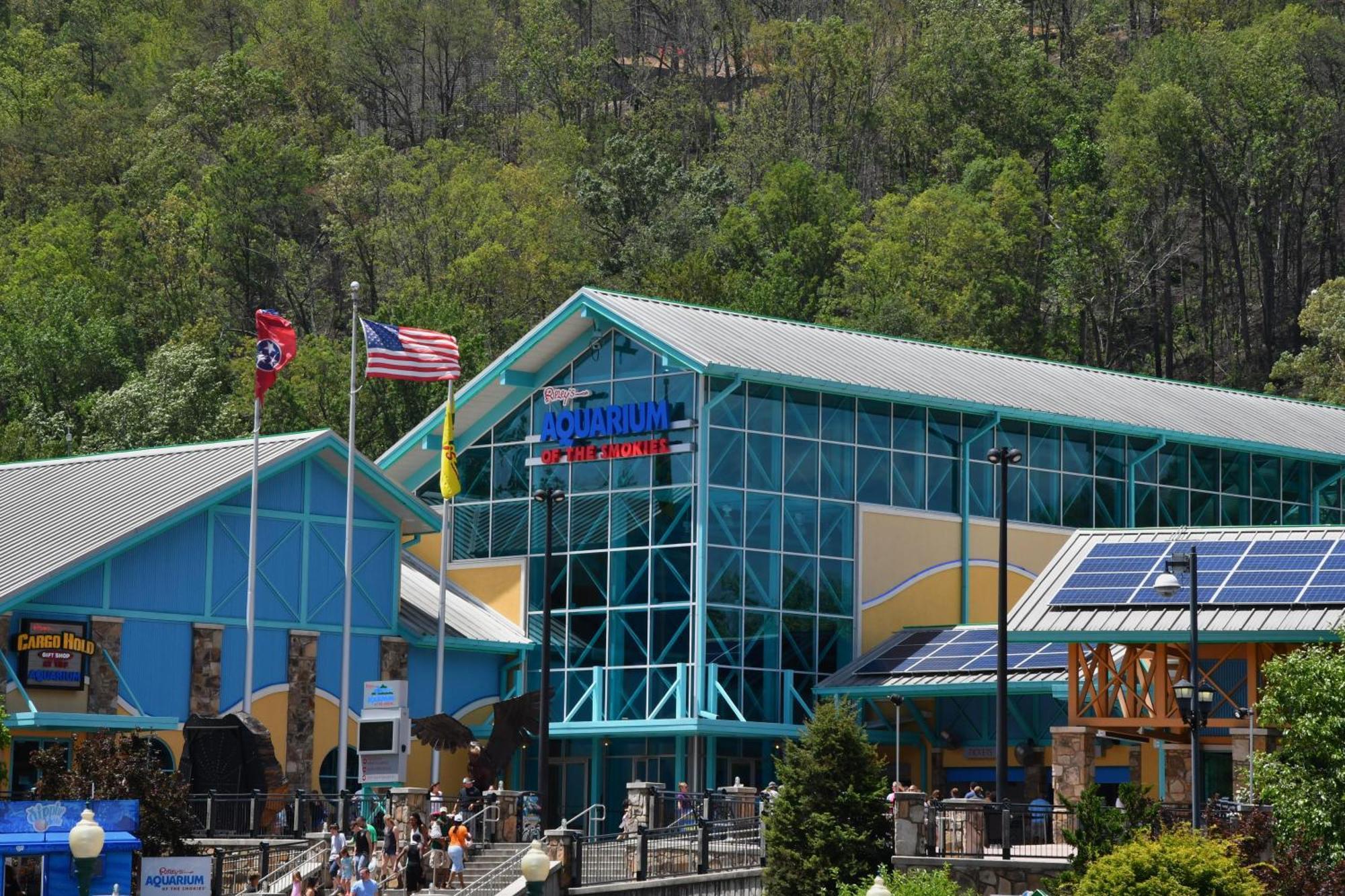 Vila Wild Thing #1525 Gatlinburg Exteriér fotografie